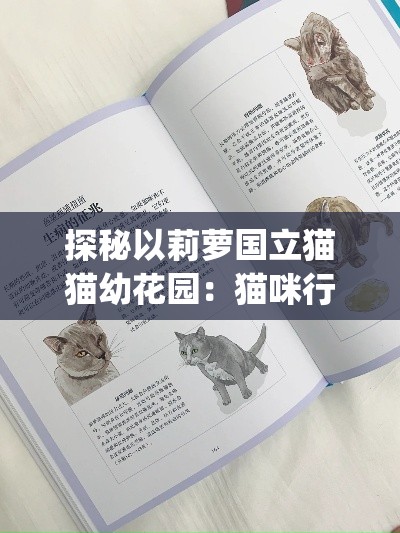 探秘以莉萝国立猫猫幼花园：猫咪行为心理与幸福成长[keypoint]关键研究。